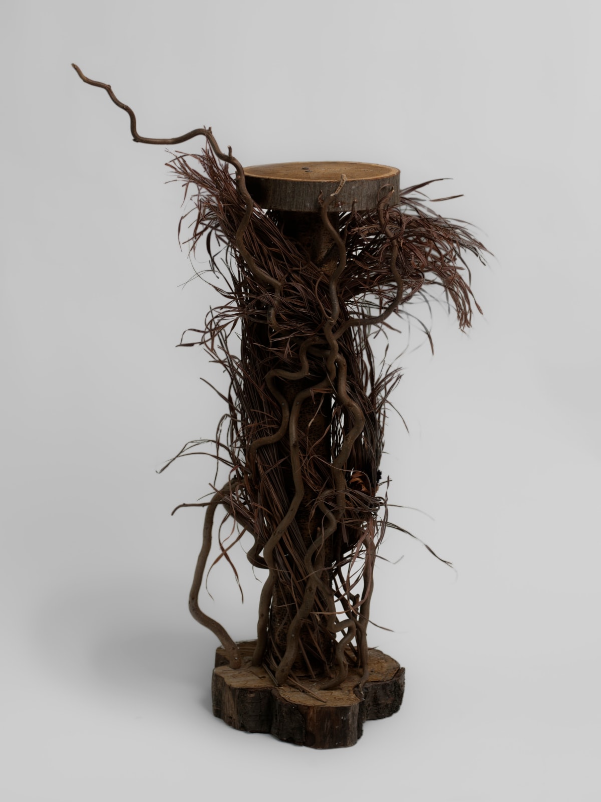 Roisin Jones, Untitled, 2023