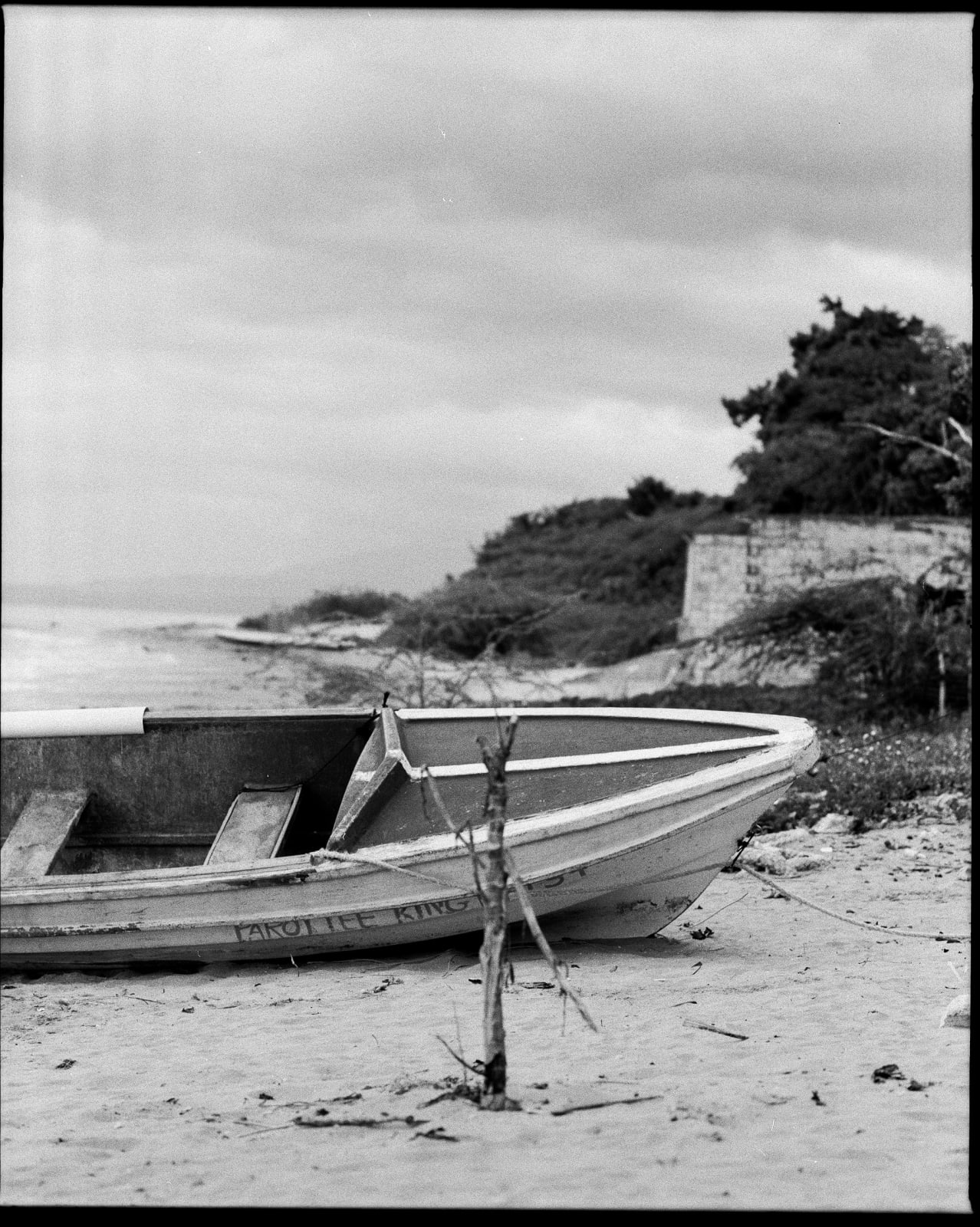 Roisin Jones, Untitled, 2024