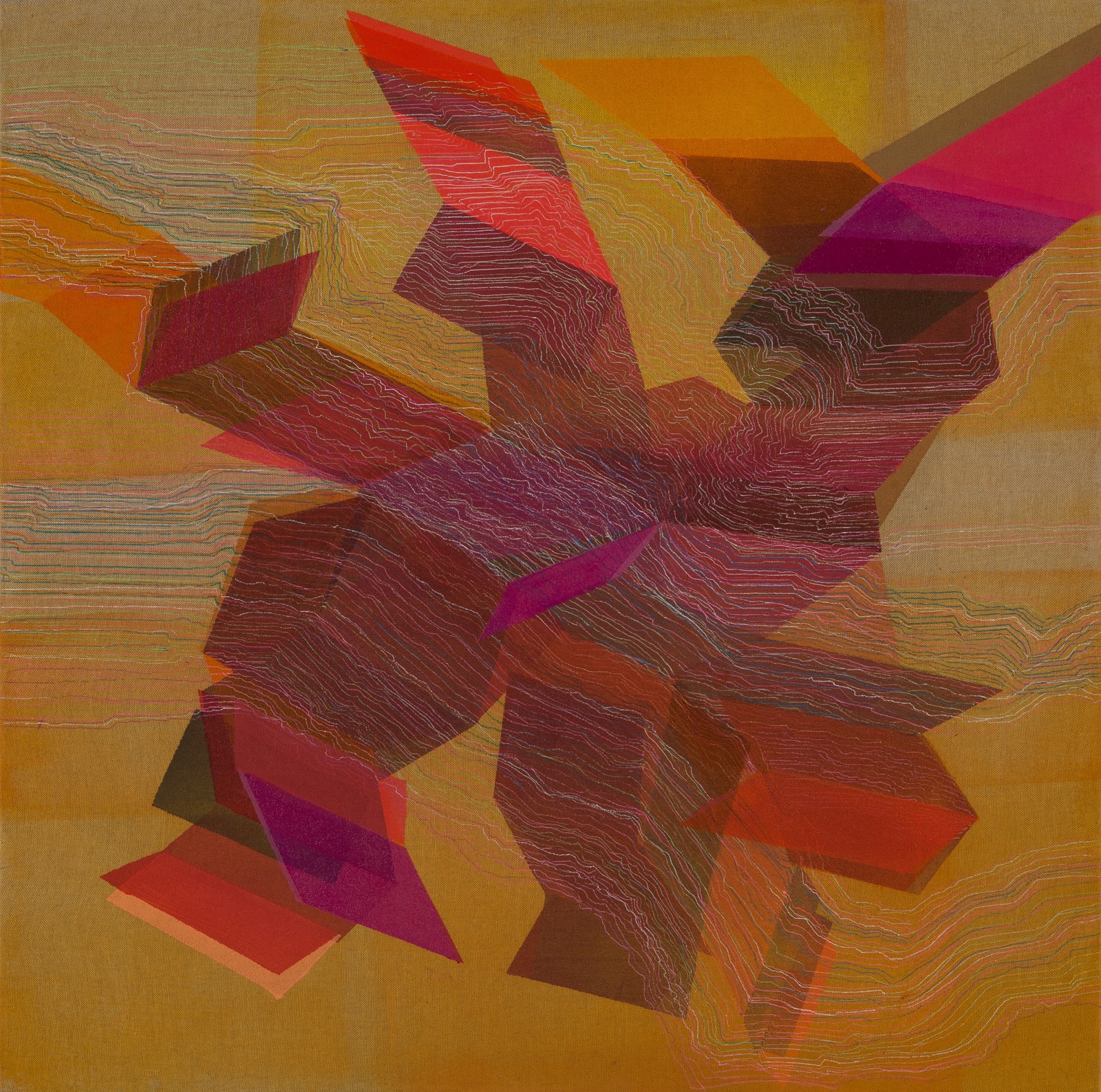 Antonietta Grassi, Tangled Topography, 2021