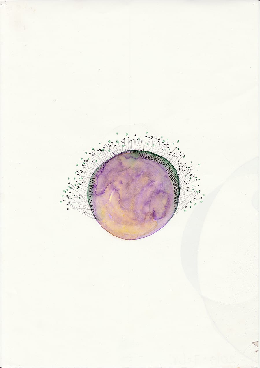 Mireille Gros, Fictional Plants 13, 2019