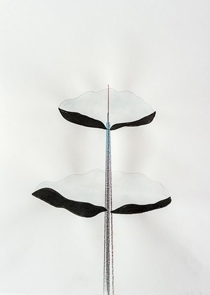 Mireille Gros, Fictional Plants 40, 2019