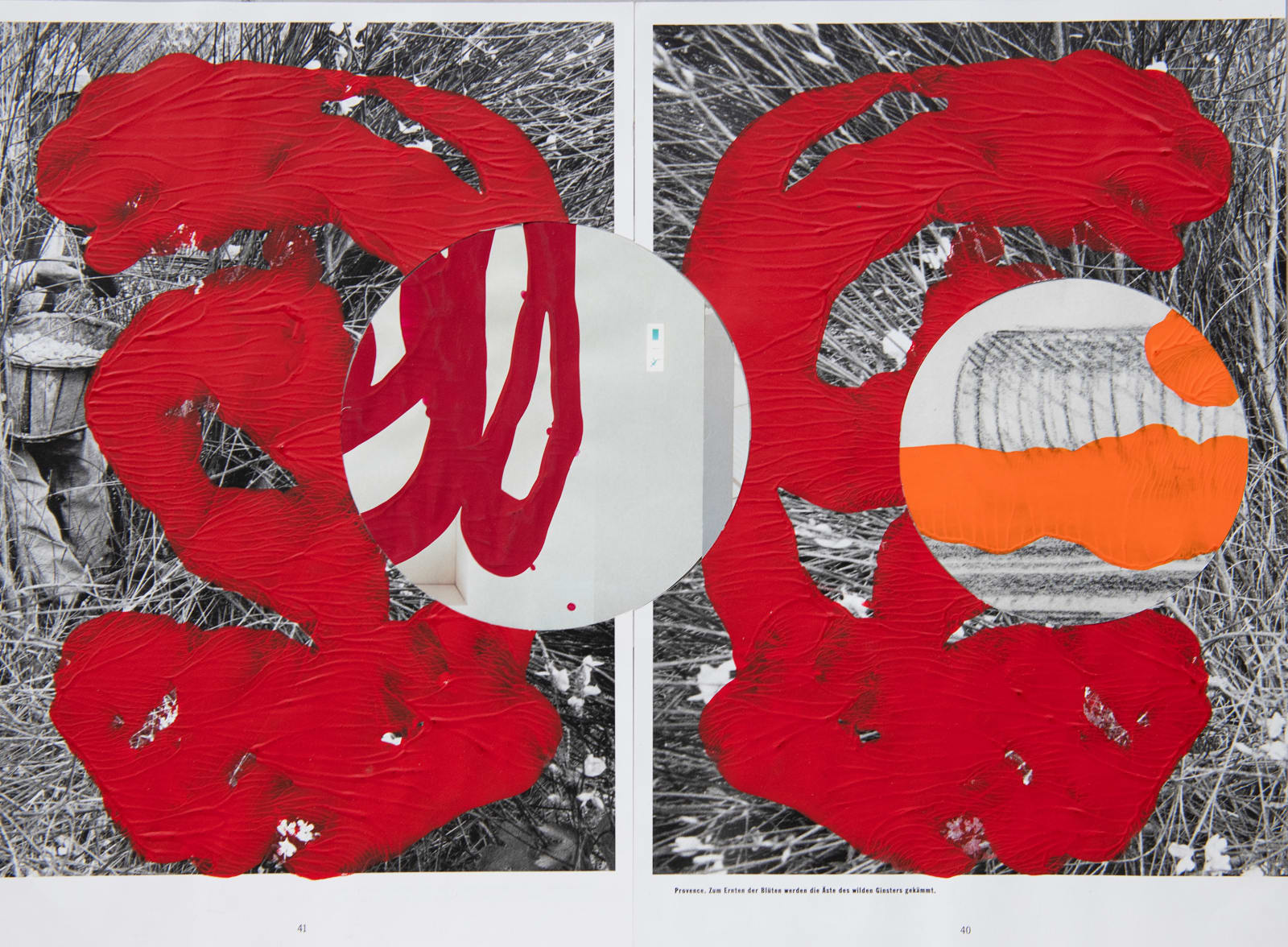 Tashi Brauen & Chris Bünter, Blüten werden (Blossoms Emerge), 2025