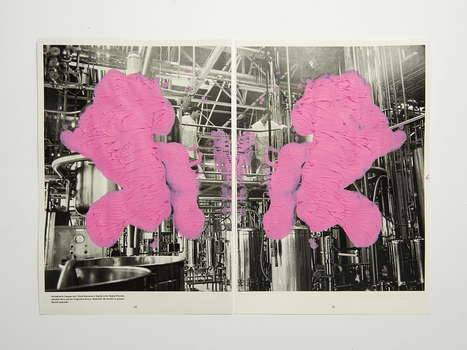 Tashi Brauen, DU 4, 2020