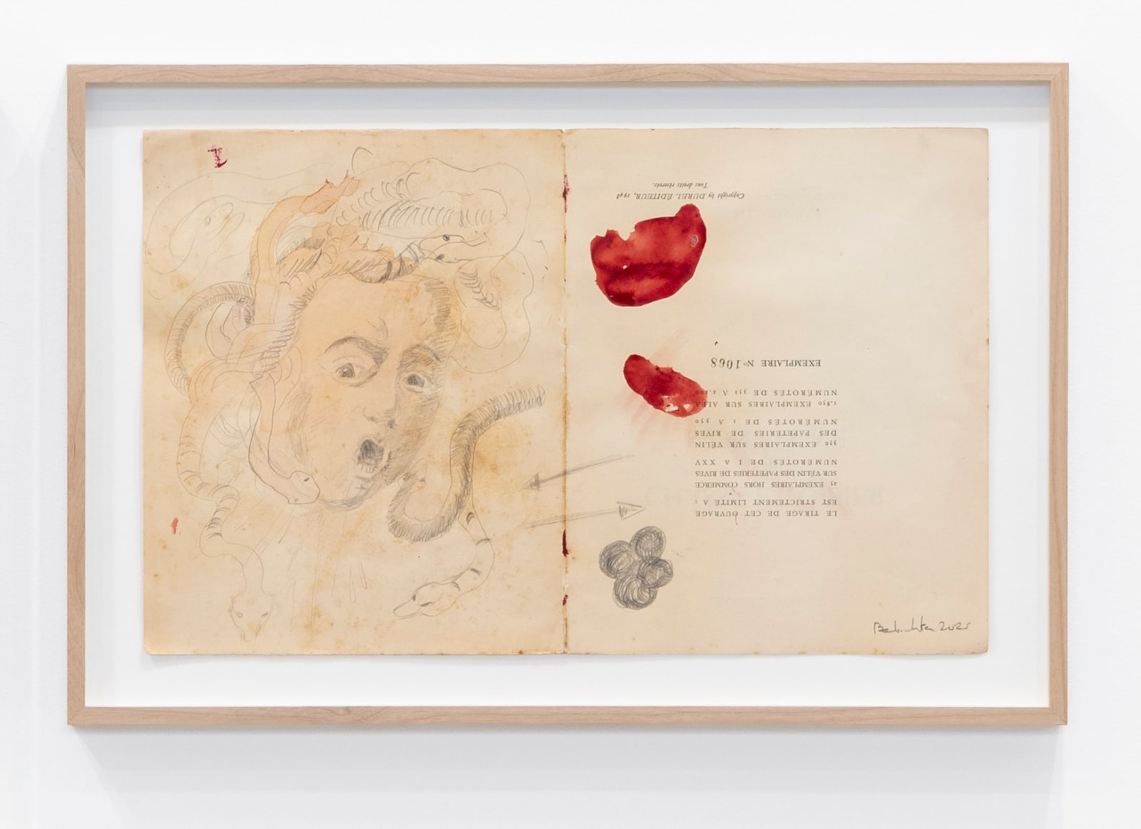 Amina Benbouchta, Medusa’s Wrath, 2025