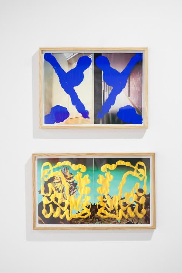 Tashi Brauen, Day Dream, 2020