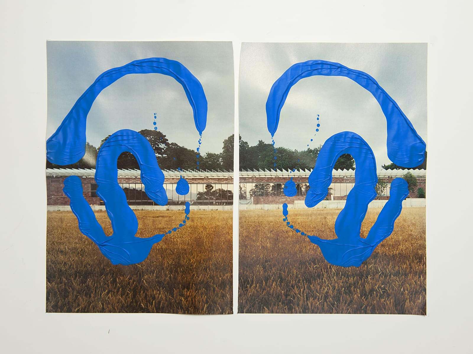 Tashi Brauen, DU 6, 2020