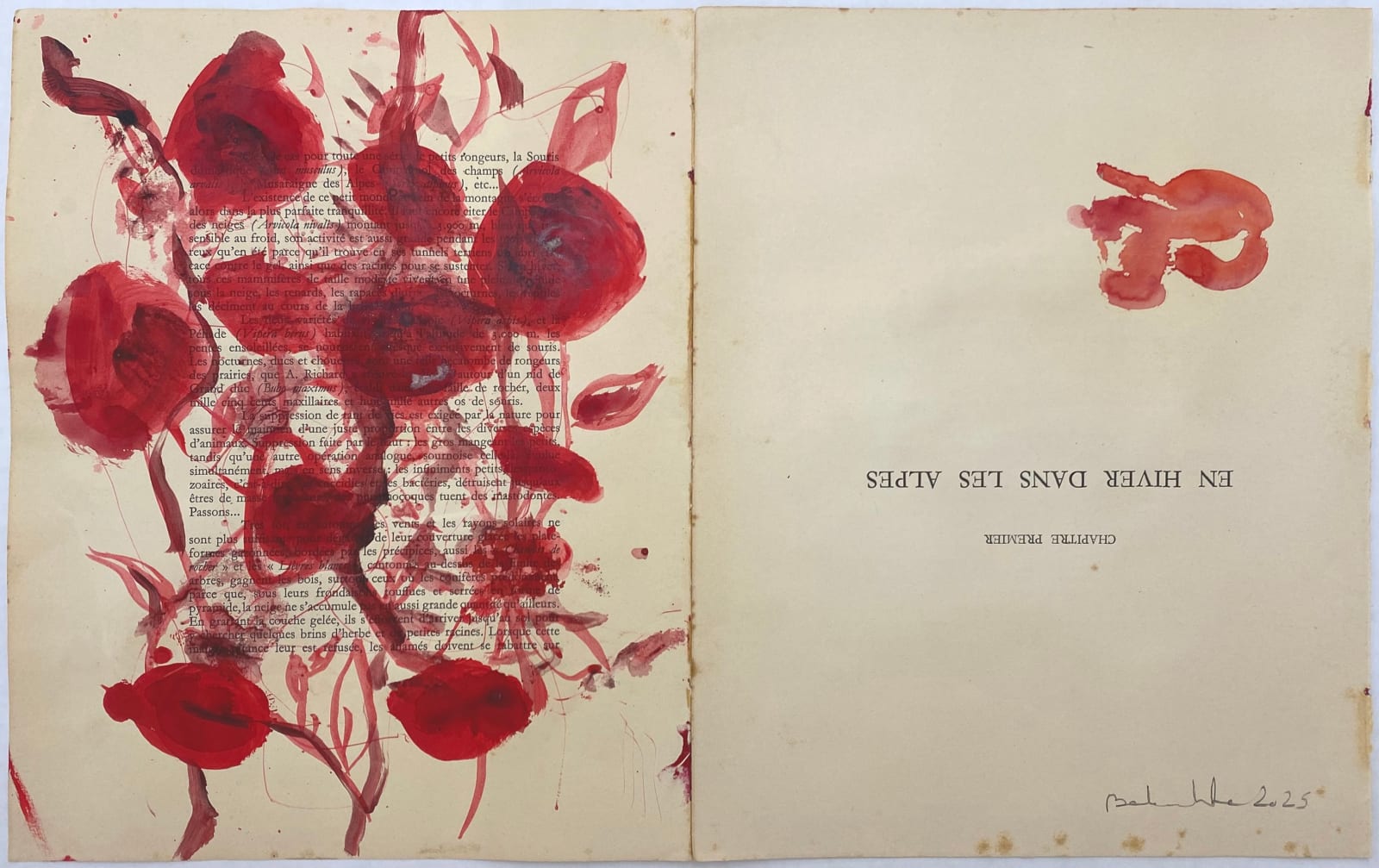 Amina Benbouchta, Winter Flowers, 2025