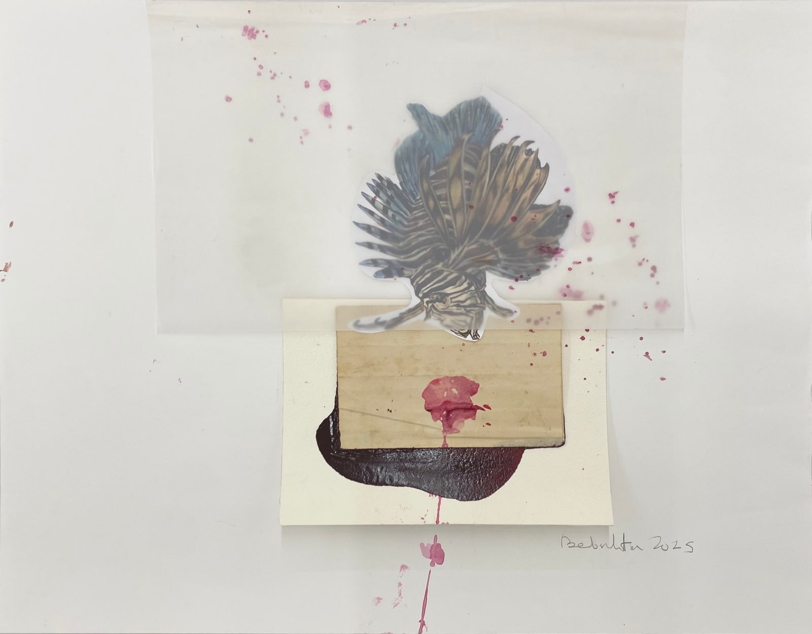 Amina Benbouchta, Year of the Medusa, 2025