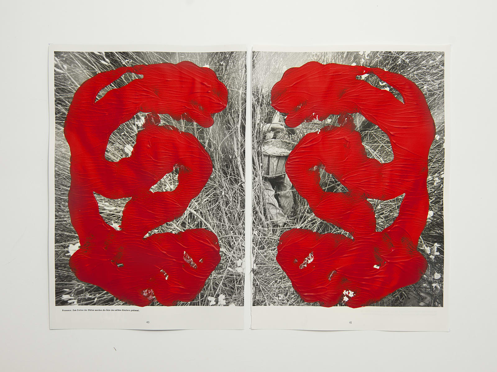 Tashi Brauen, DU 5, 2020