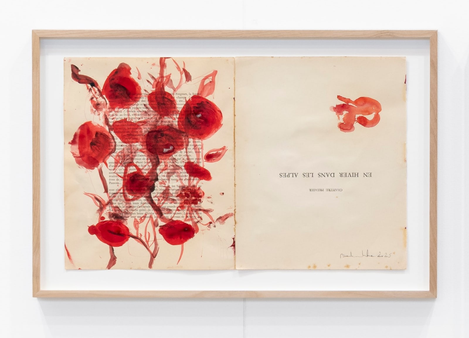 Amina Benbouchta, Winter Flowers, 2025