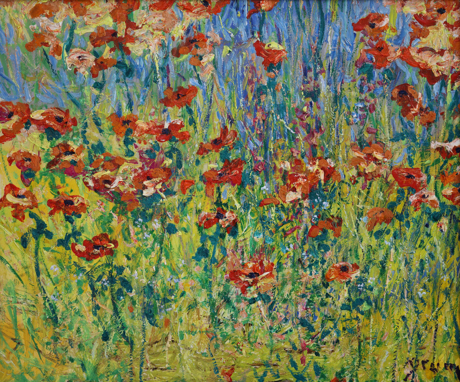 David Drum, Spring, Wild Poppies, 2024