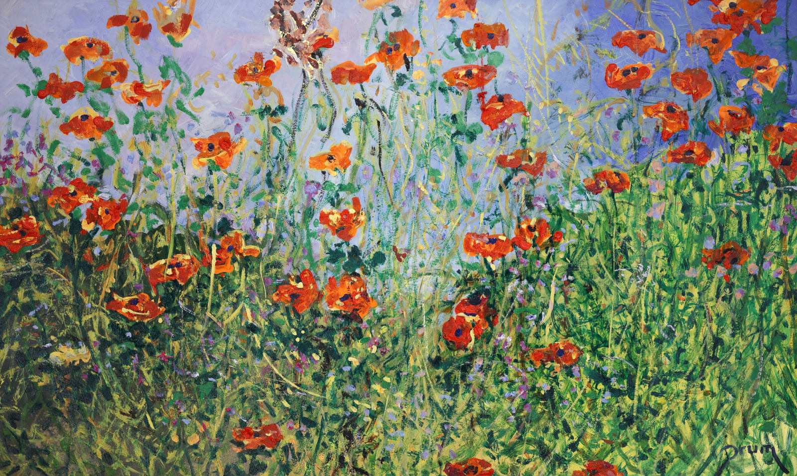 David Drum, Poppies in Spring Shower, 2024