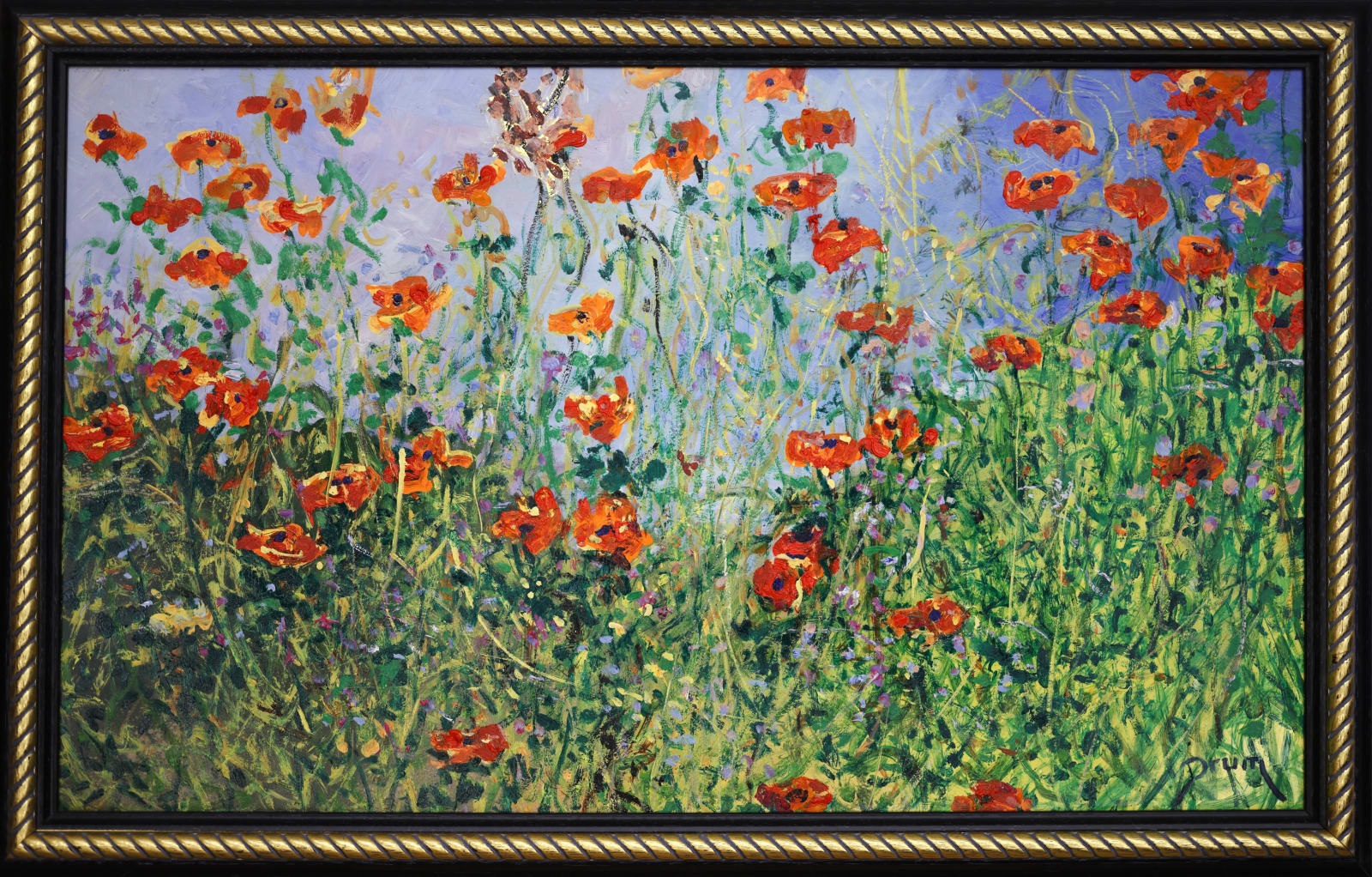 David Drum, Poppies in Spring Shower, 2024
