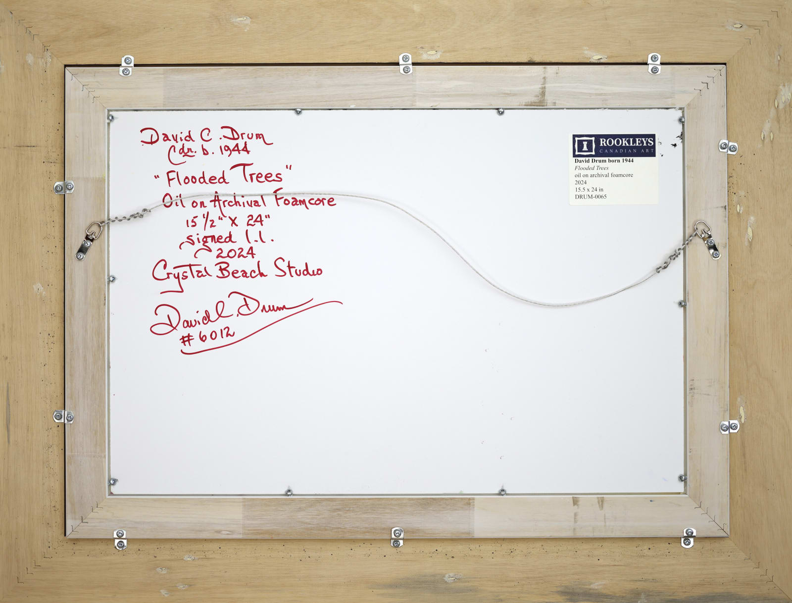 David Drum, Flooded Trees, 2024