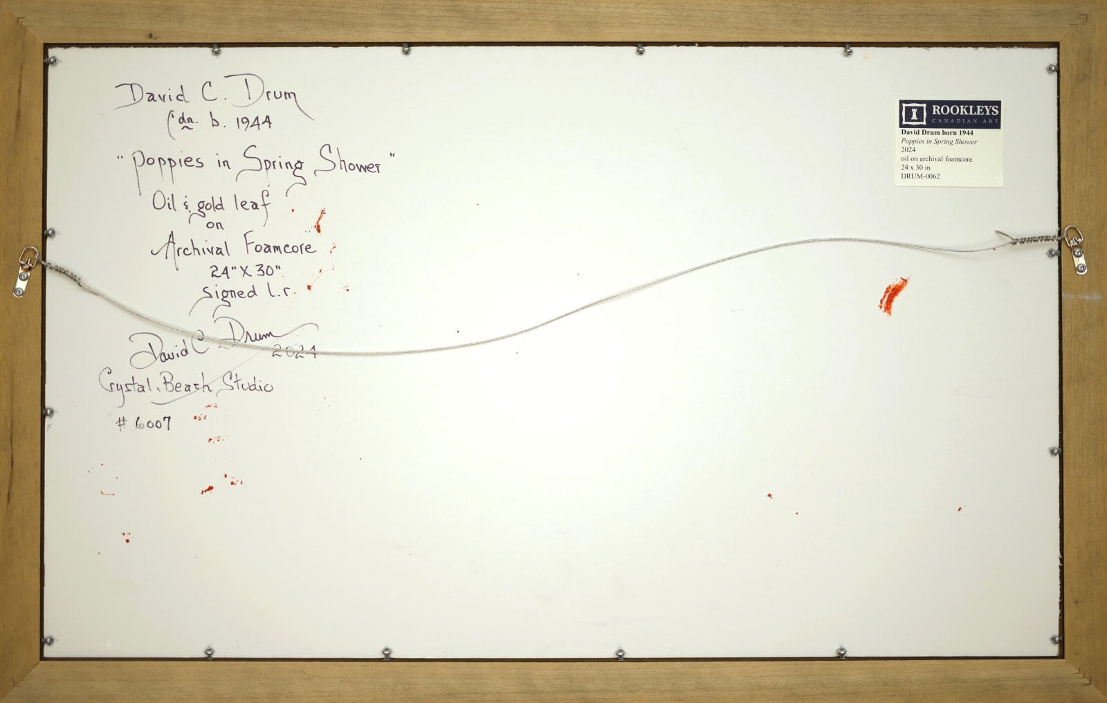 David Drum, Poppies in Spring Shower, 2024