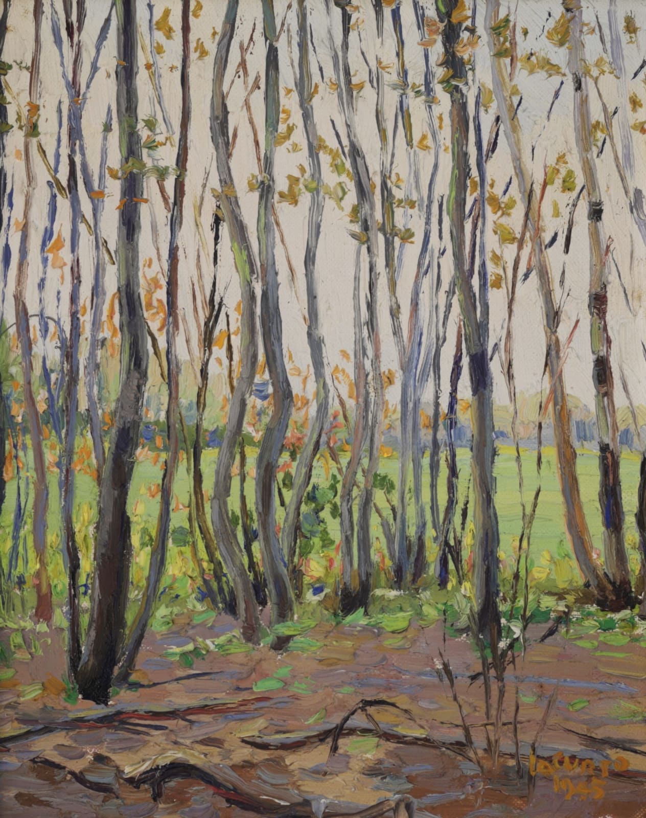 Francesco Iacurto, Cap Rouge, 1945