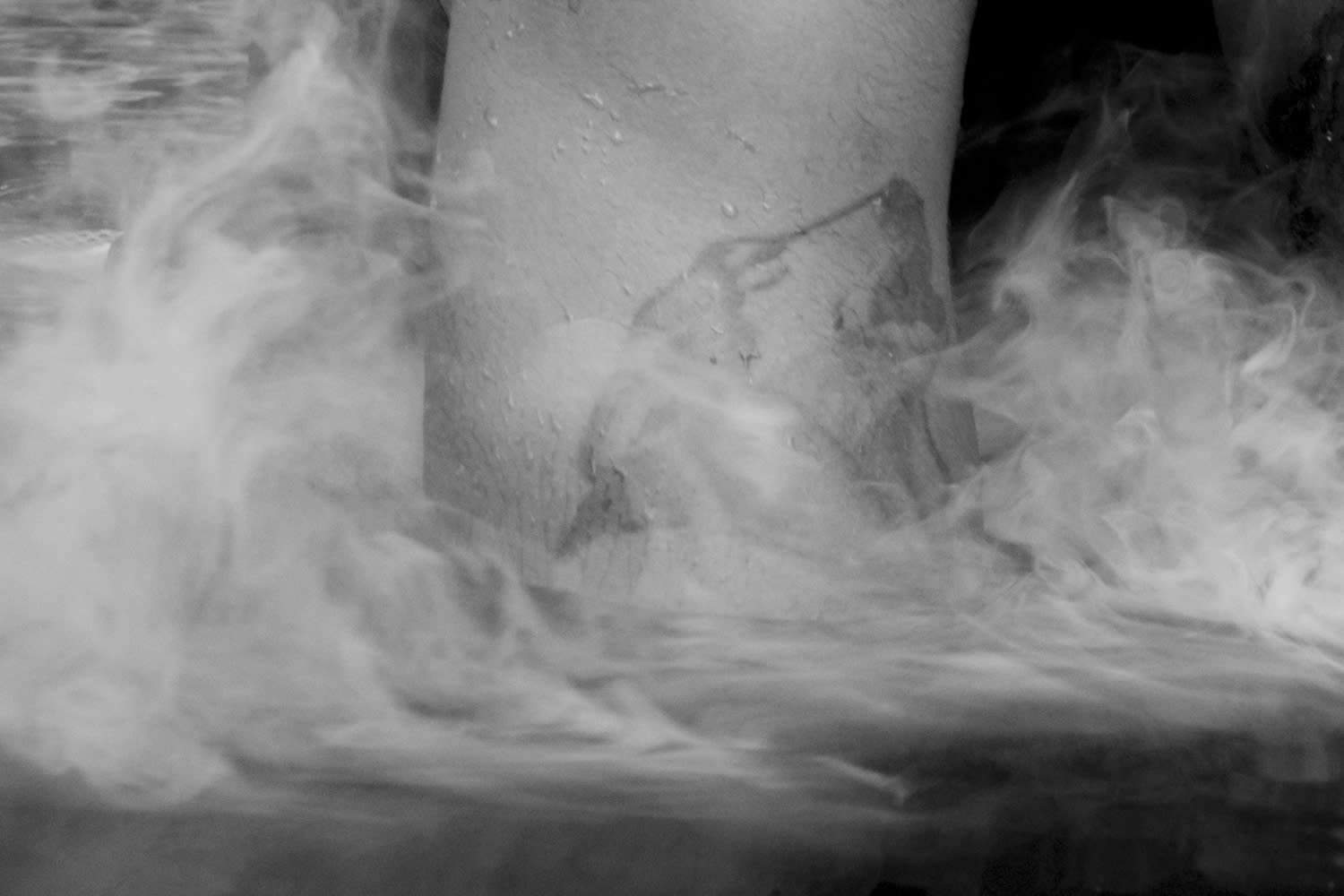 Caleb Stein, Dog & Smoke. The Watering Hole. Poughkeepsie, NY, 2020