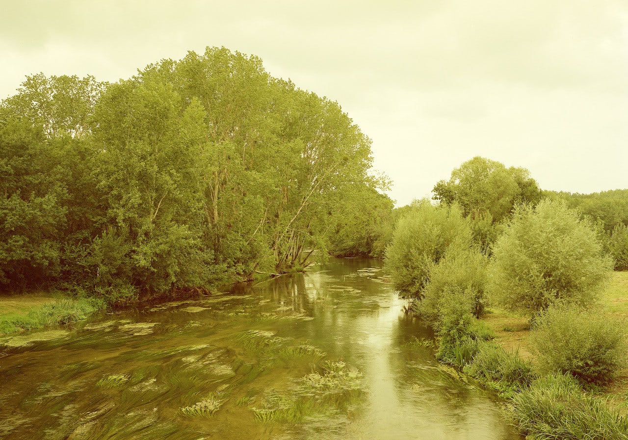 Elger Esser, Ile Saint Martin, 2021