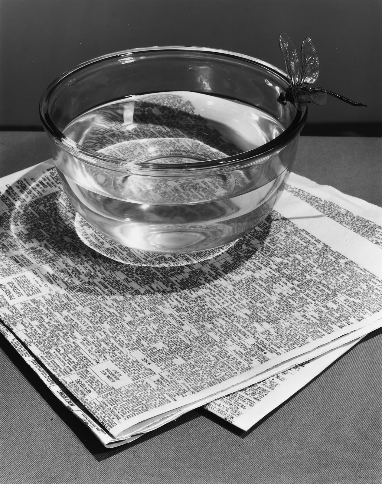 Jo Ann Callis, Bowl with Dragon Fly, 1981-83 printed in 2025
