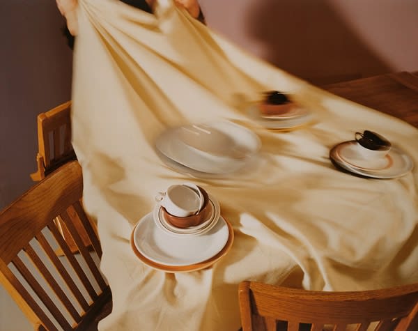 Jo Ann Callis, The Dish Trick, 1985