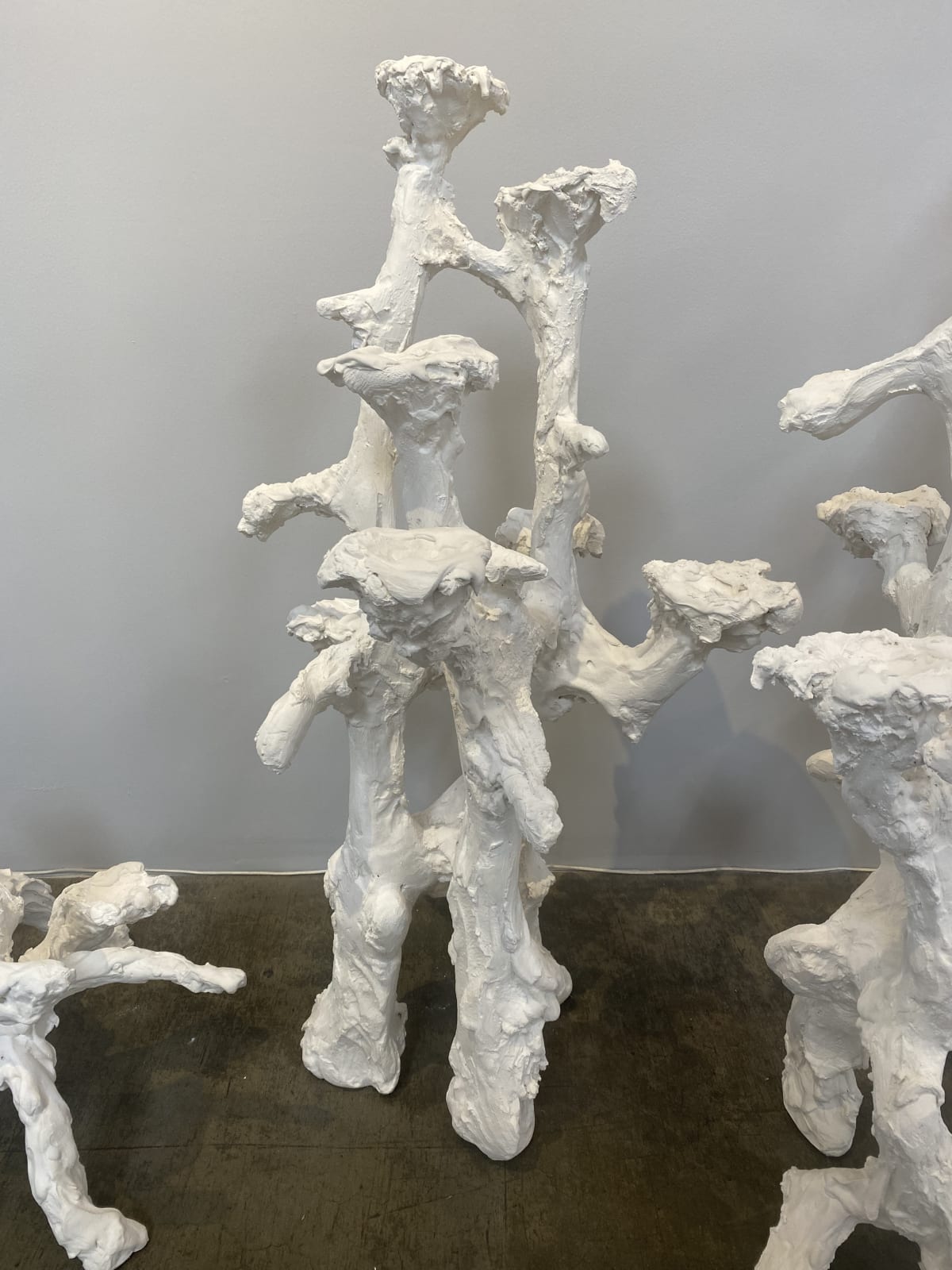 Mary Brøgger, Pedicles 2, 2021