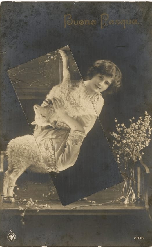 Kensuke Koike, Buch der Natur, 2014