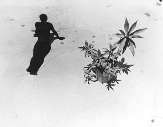 Jo Ann Callis, Black Sun Picture #7, 1976