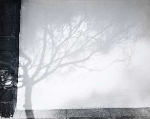 Manuel Alvarez Bravo, Paisaje Inventado [Invented Landscape], 1972