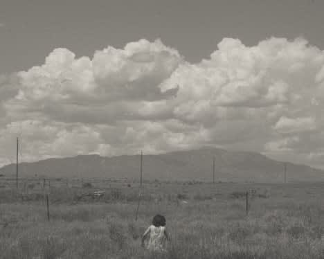 Tania Franco Klein, Field, 2018