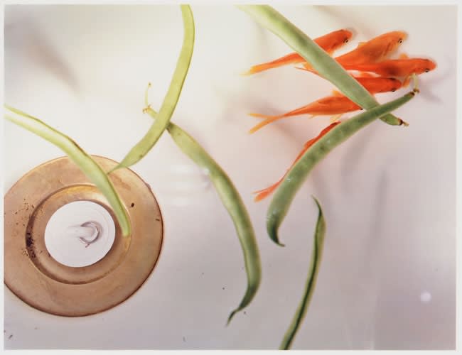 Jo Ann Callis, Goldfish and Stringbeans, 1980
