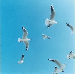 Rinko Kawauchi, Utatane 18, 2001
