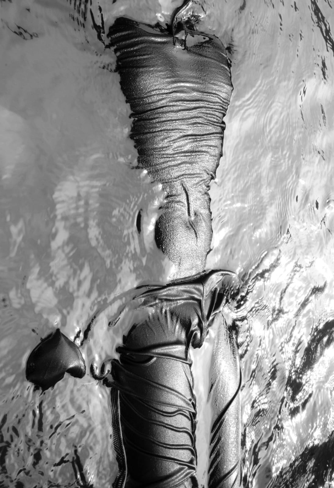 Caleb Stein, Statue in Water The Watering Hole. Poughkeepsie, NY., 2020