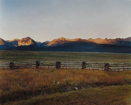 Laura McPhee, Red Fladry to Spook Wolves and Deter them from Killing Calves, Fourth of July Creek RanchCuster County, ID, Septemeber 30, 2004