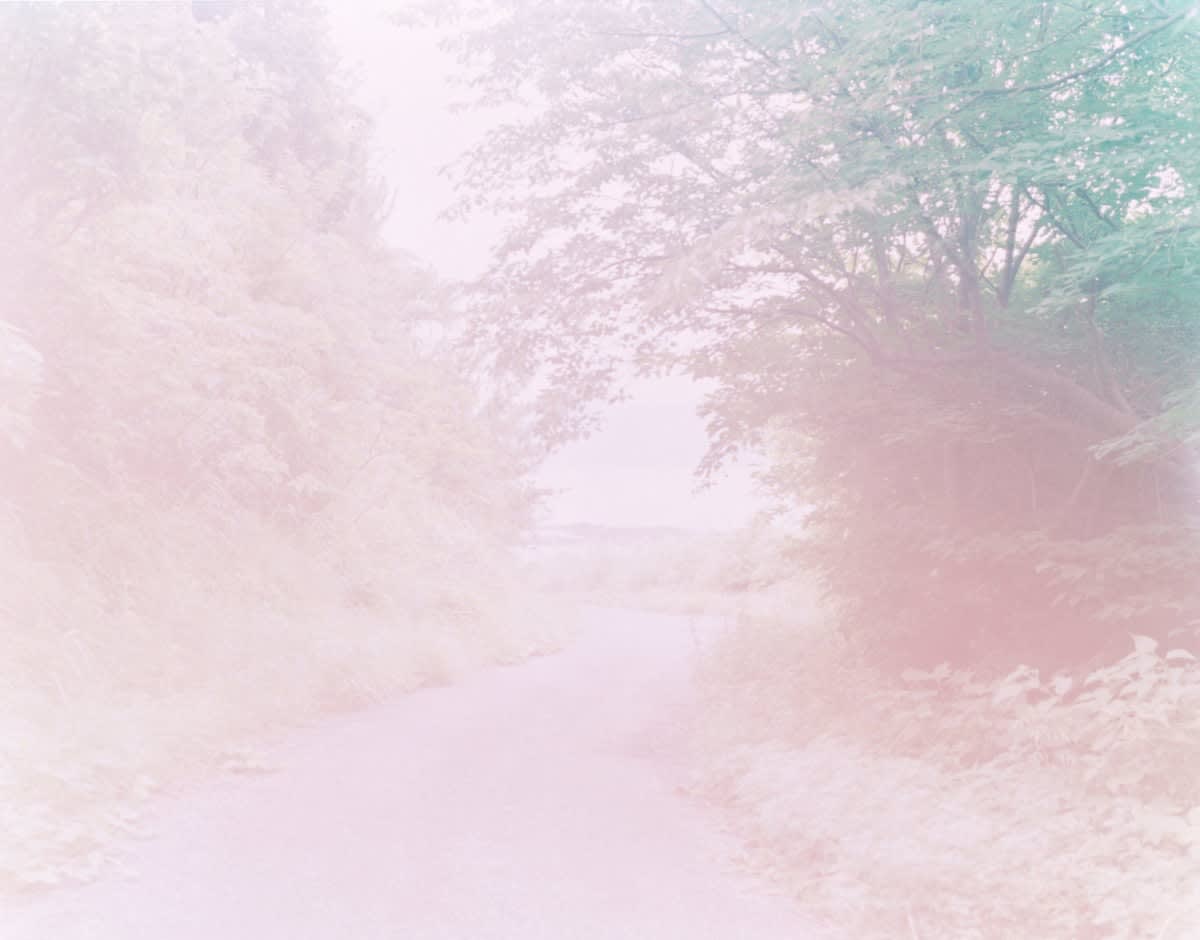 Rinko Kawauchi, Untitled, (RE4) from the series The River Embraced Me , 2016