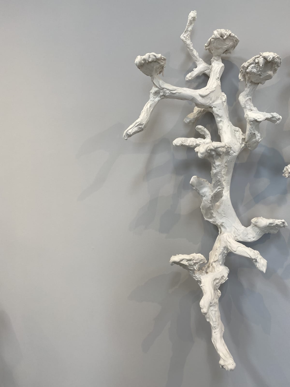 Mary Brøgger, Pedicles 5