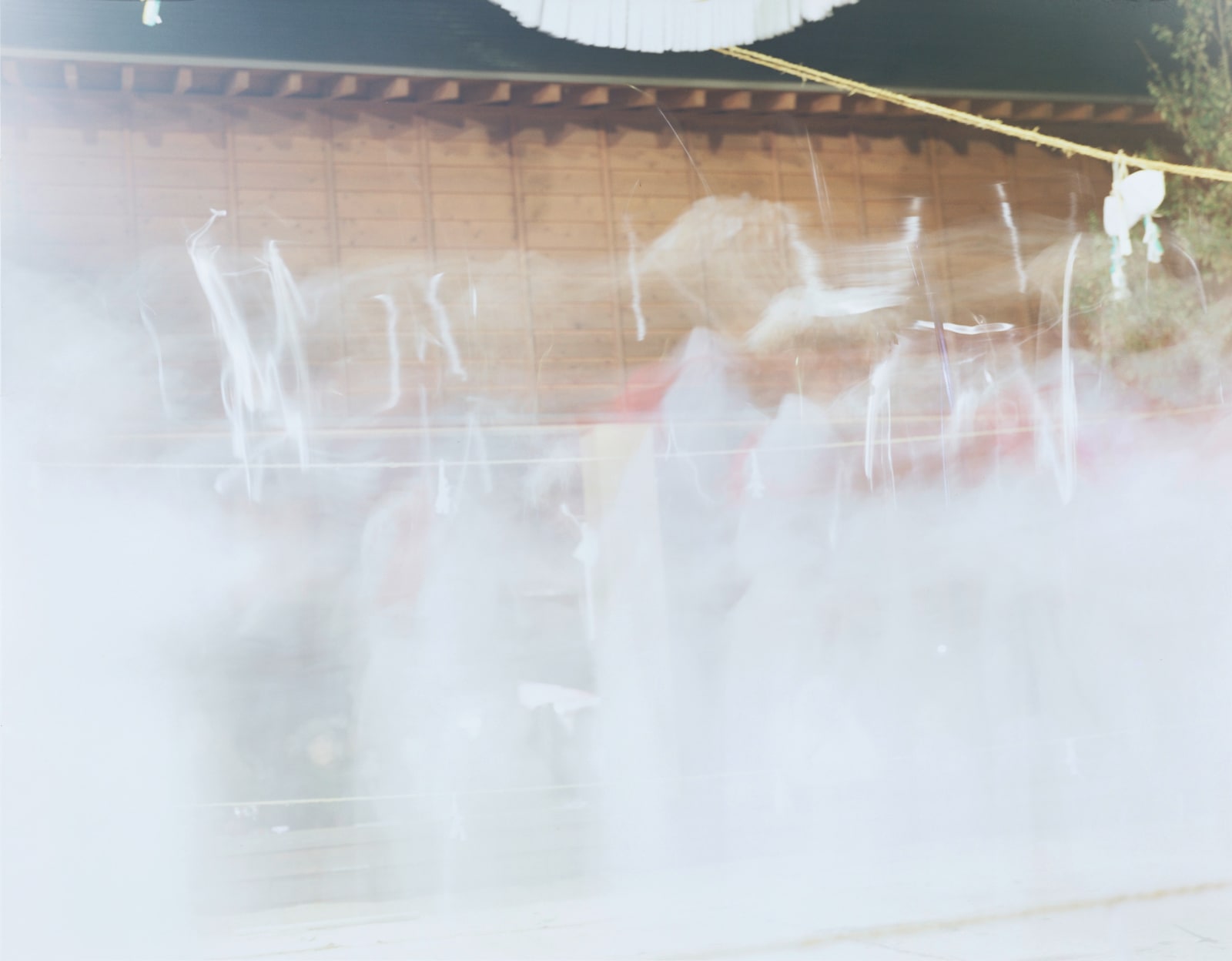 Rinko Kawauchi, Untitled, From the series Ametsuchi, 2012