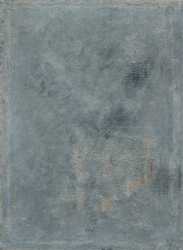 Yishai Jusidman, Rag#29, 2013-2016