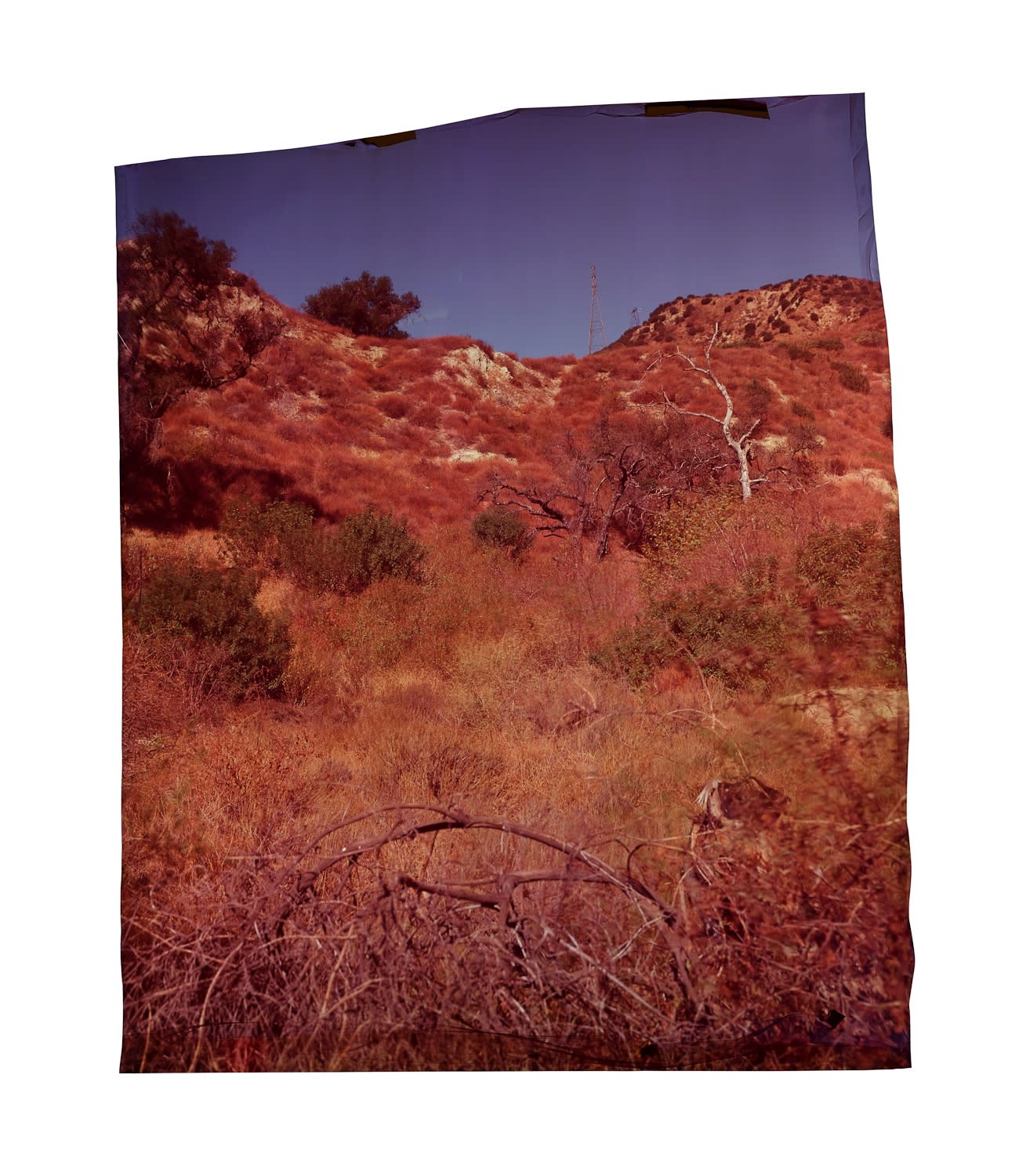 John Chiara, Sierra at Edison [Variation B], 2012