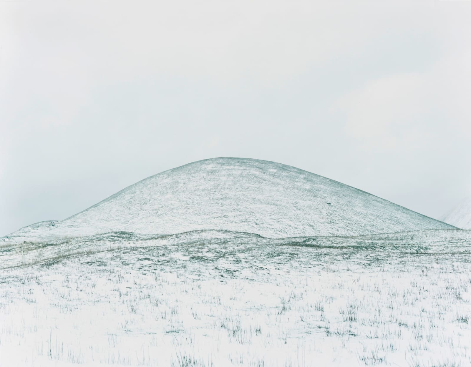 Rinko Kawauchi, Untitled, from the series Ametsuchi, 2013