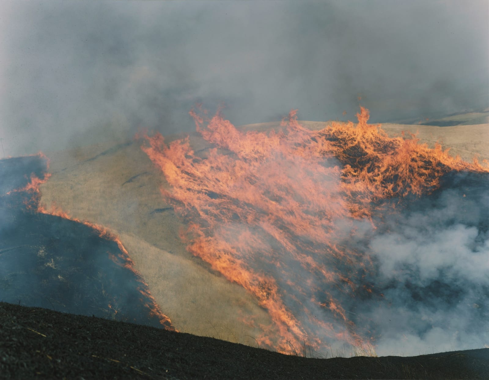 Rinko Kawauchi, Untitled, from the series Ametsuchi, 2013