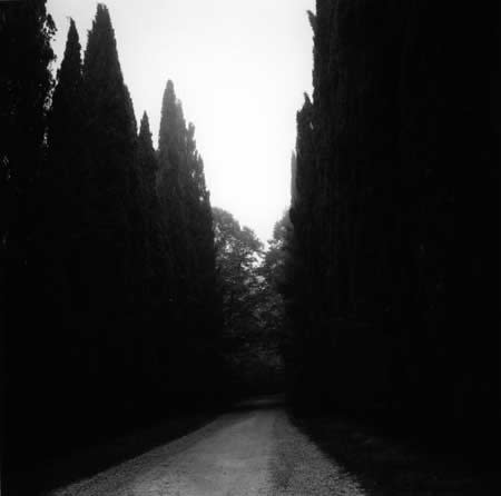 Graciela Iturbide, Untitled, from the series asor [cypress + road]