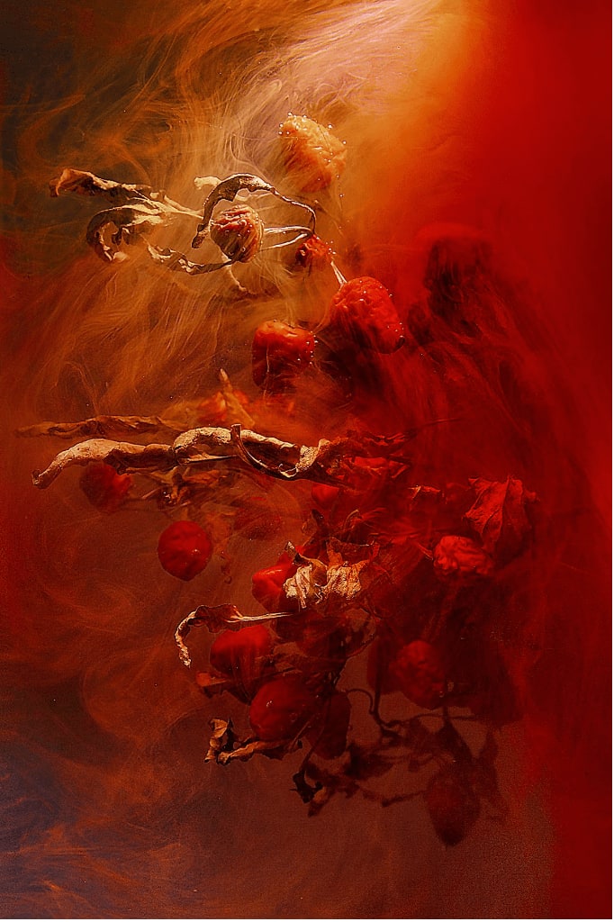 Chiron Duong, face the angel of death, 2024
