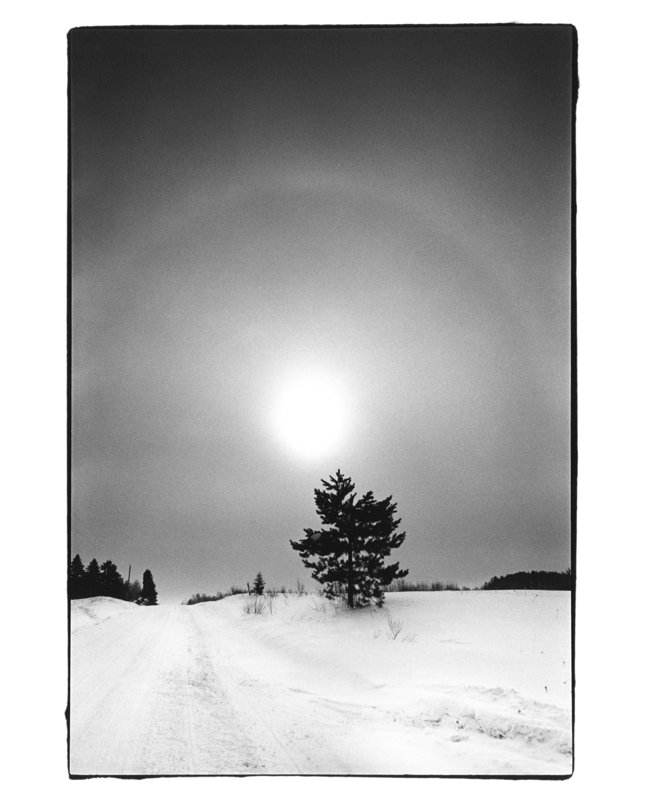 Jessica Lange, Minnesota, from Highway 61