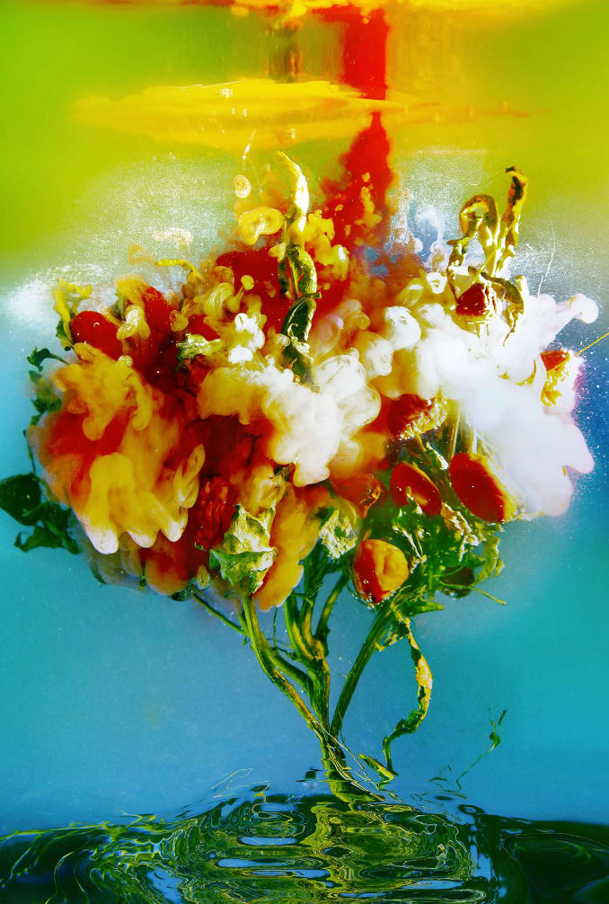 Chiron Duong, miracle, 2024