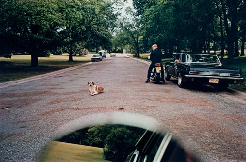 William Eggleston, Untitled [Mirror dog road], 1970-1973
