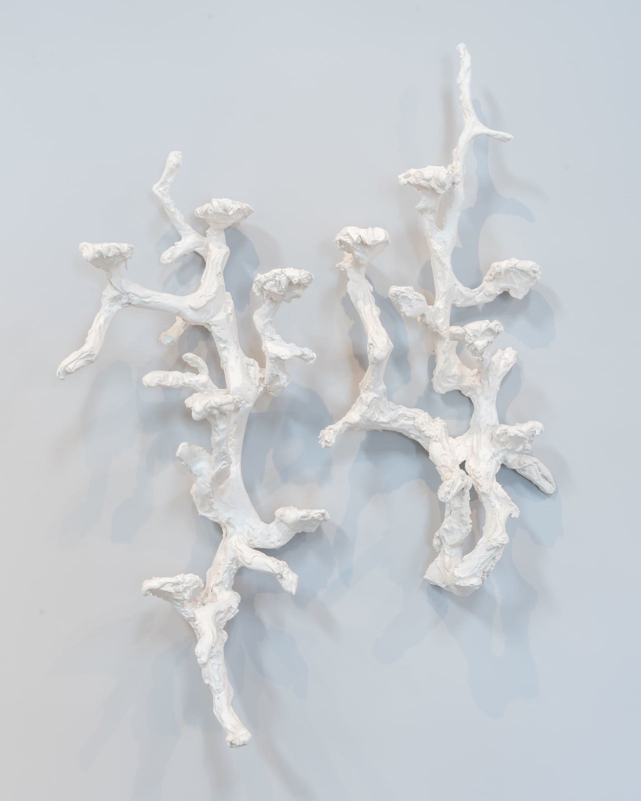 Mary Brøgger, Pedicles 4