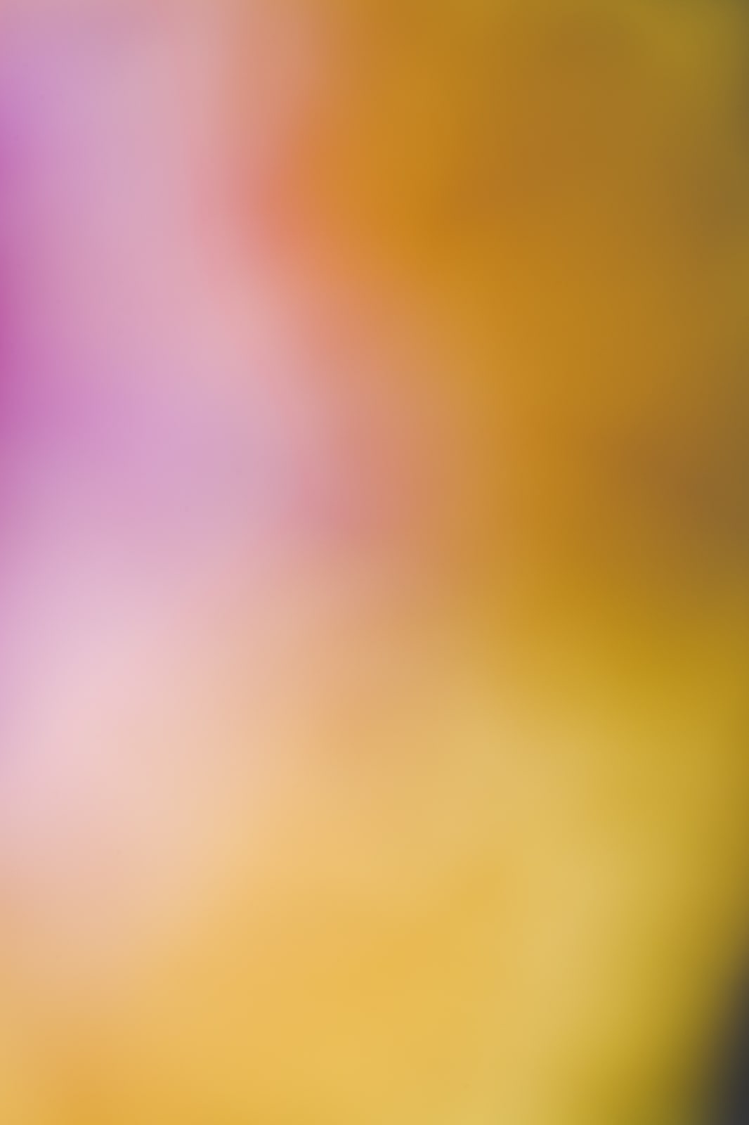 Diane Rosenblum, Damaris