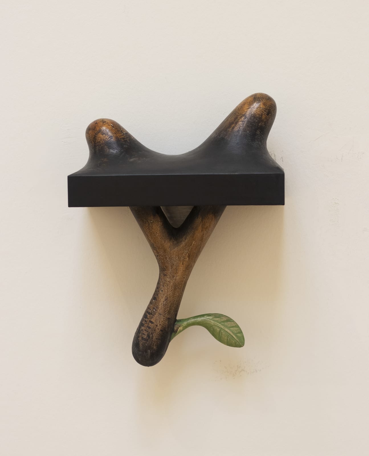 James Castle RSA, Catapult