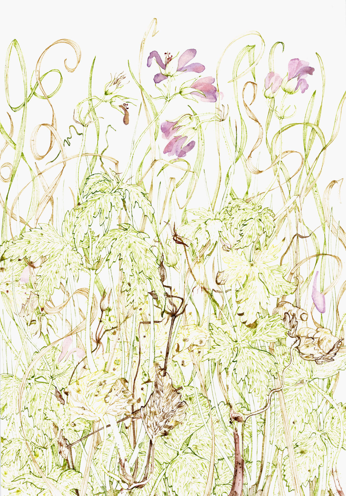 Jane Hyslop RSA, December Collection II, Midlothian, 2020