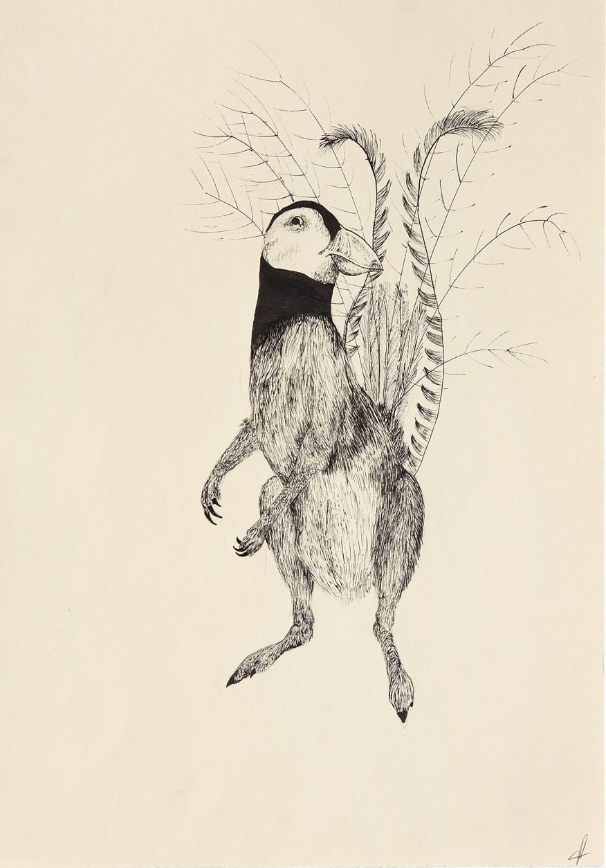 Jamie Fitzpatrick, Untitled (Puffin, Kangaroo, Lyre Bird), 2010